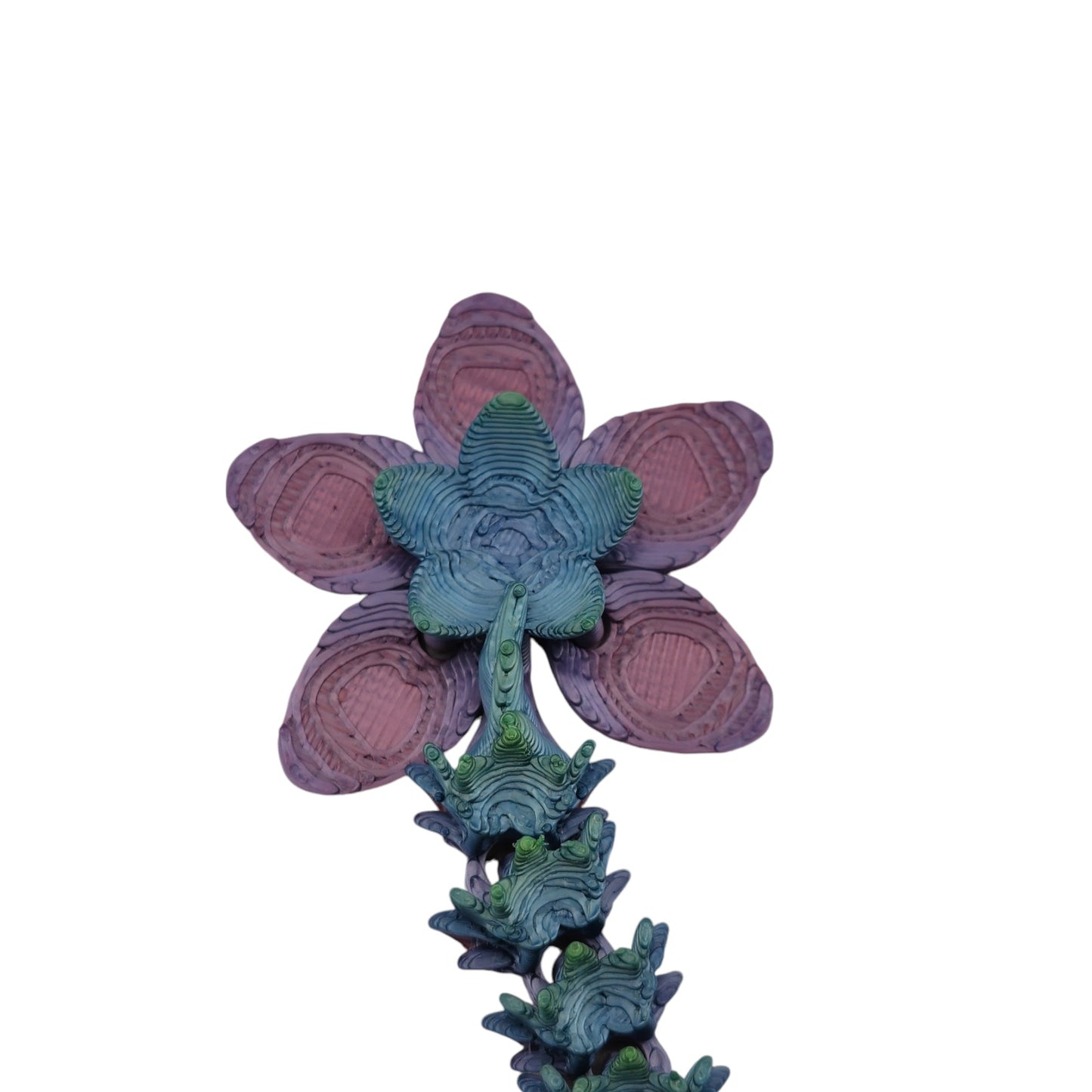 Cherry Blossom Dragon