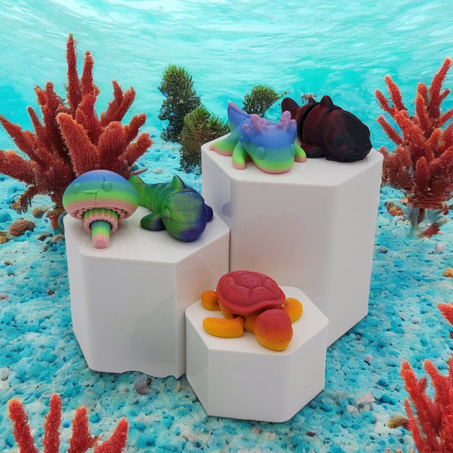 Marine Life Minis Box