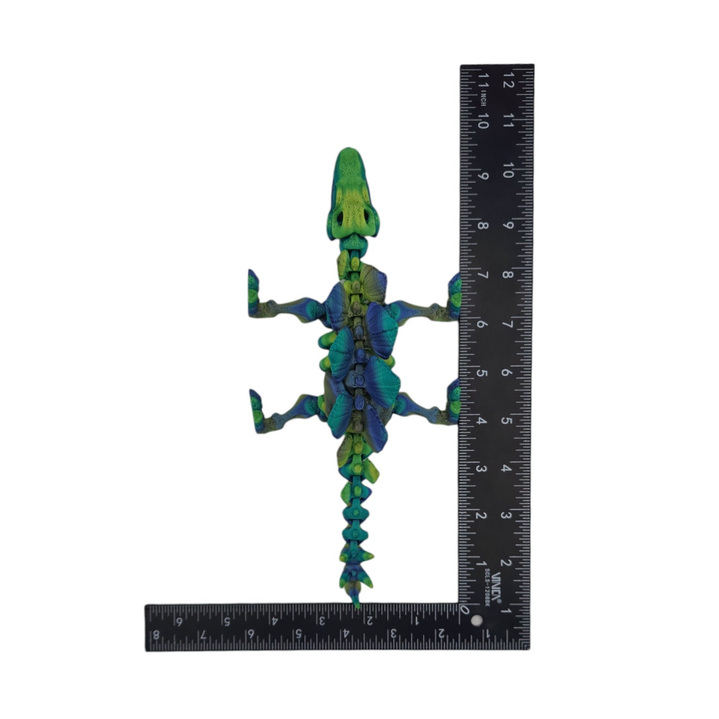 Skeletal Stegosaurus