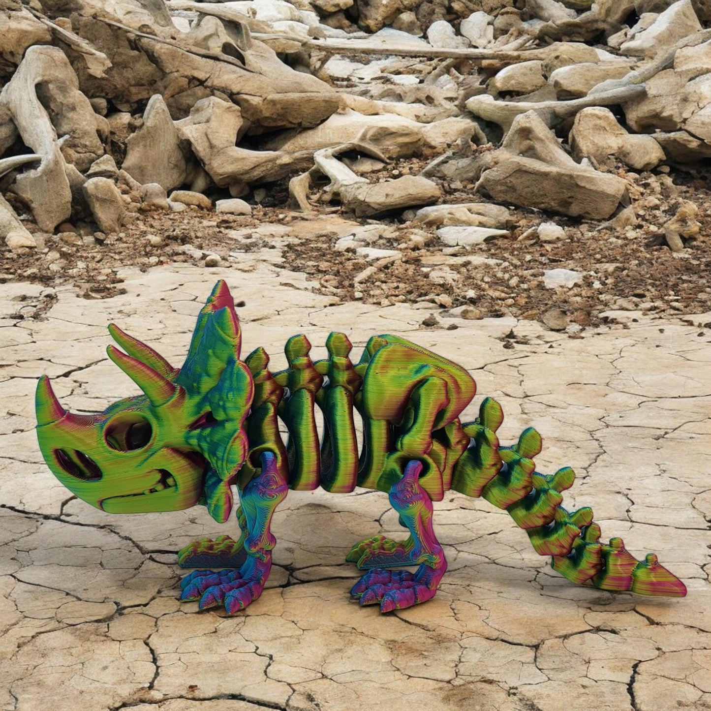 Skeletal Triceratops