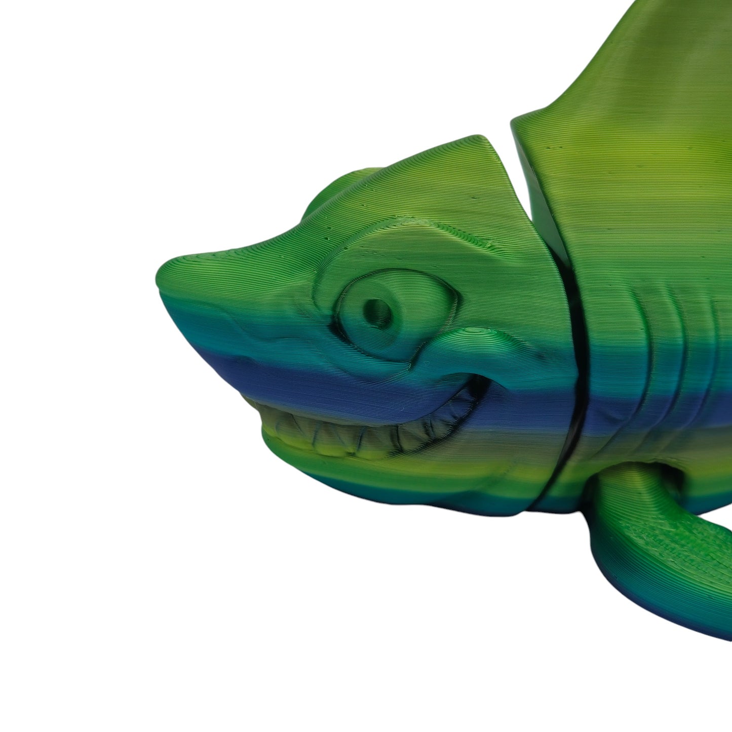 Snappy Shark