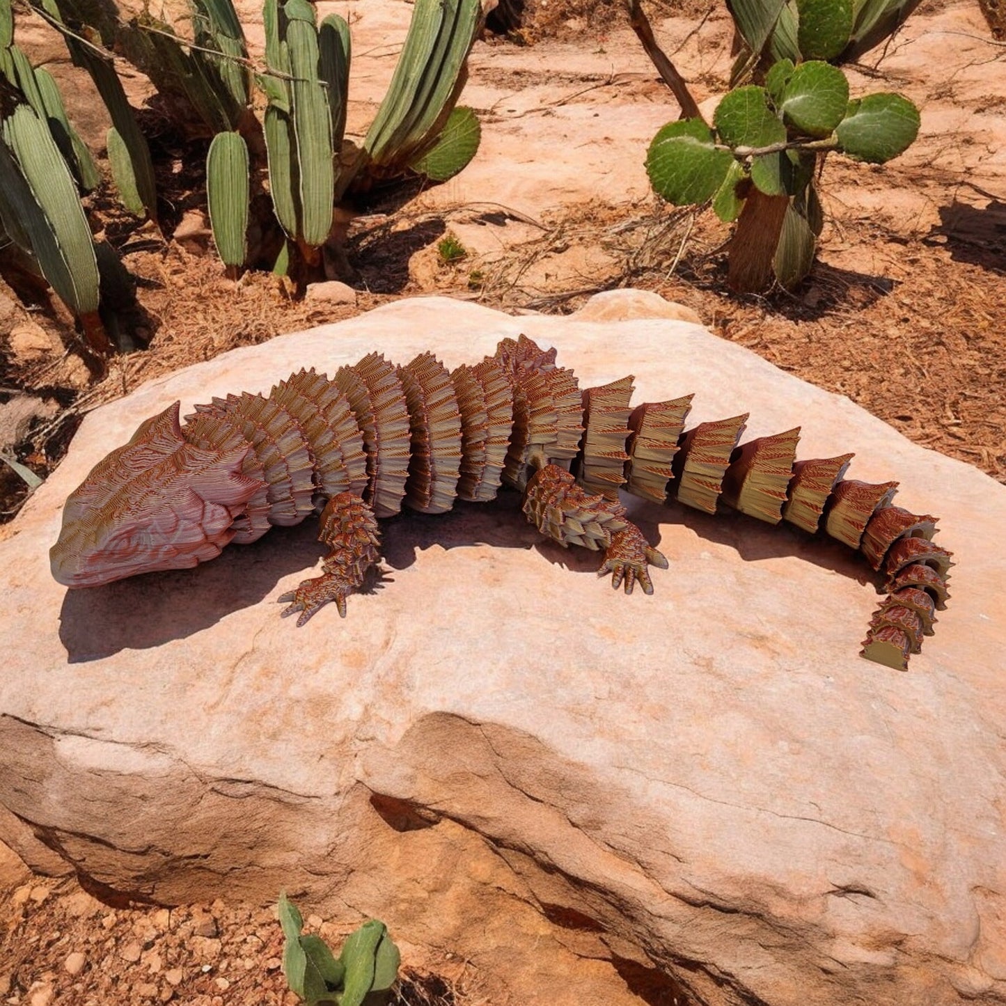 Stoneback Armadillo Lizard
