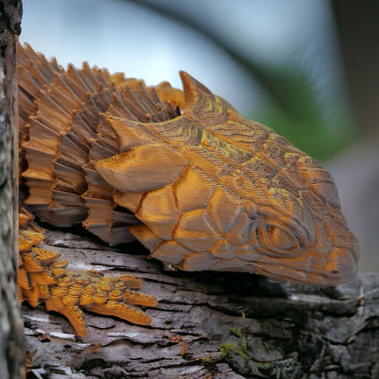 Stoneback Armadillo Lizard