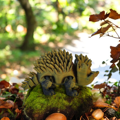 Huggy Hedgehog