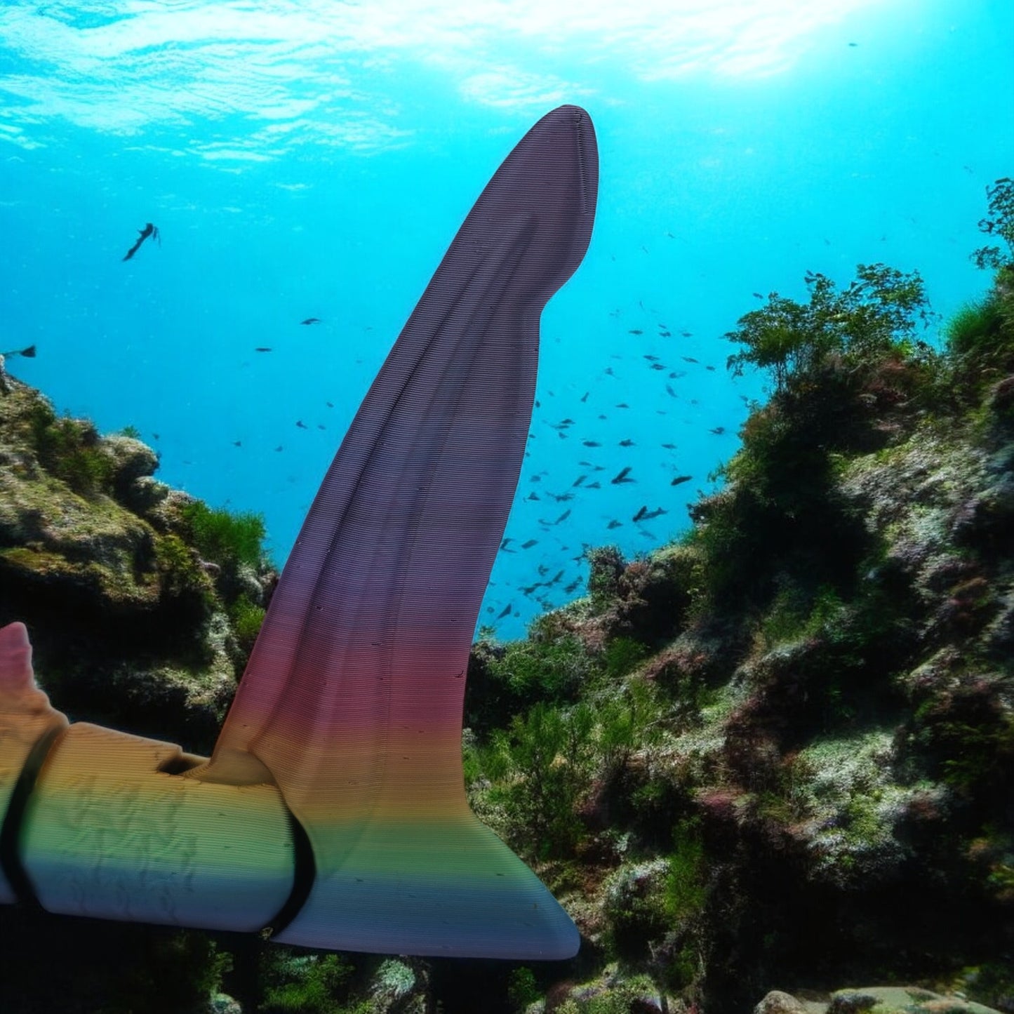 Riptide Hammerhead Shark