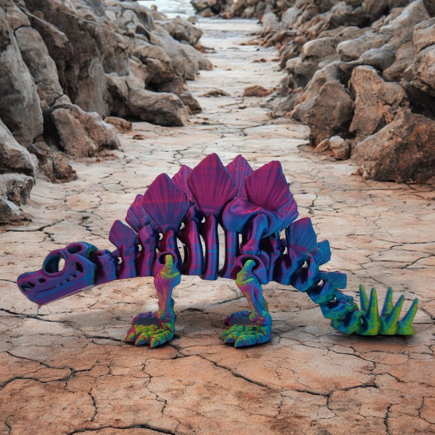Skeletal Stegosaurus