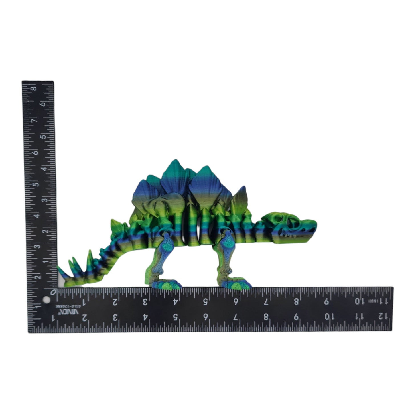 Skeletal Stegosaurus