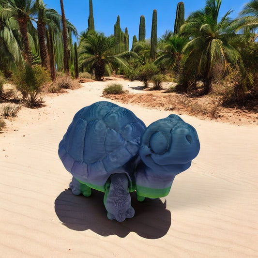 Baby Slowmo Tortoise