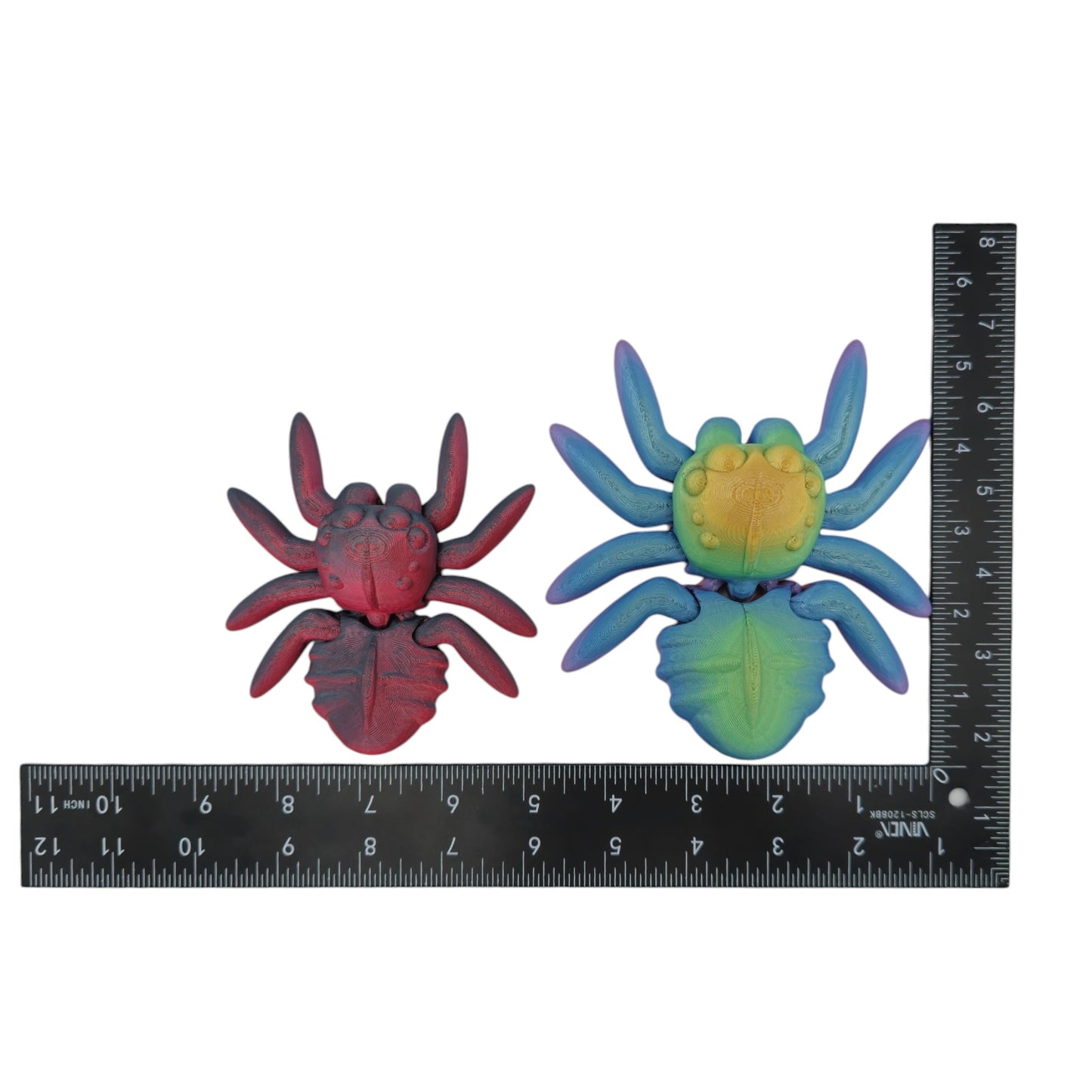 Spooky Spider