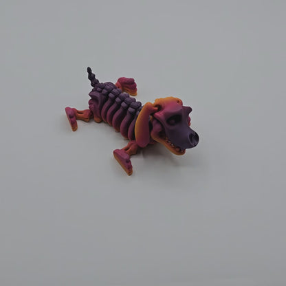 Skelly Dog