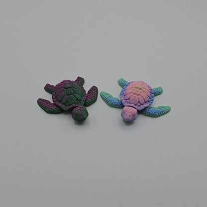Seagrass Sea Turtle